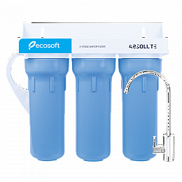 Ecosoft Absolute FMV3ECO 